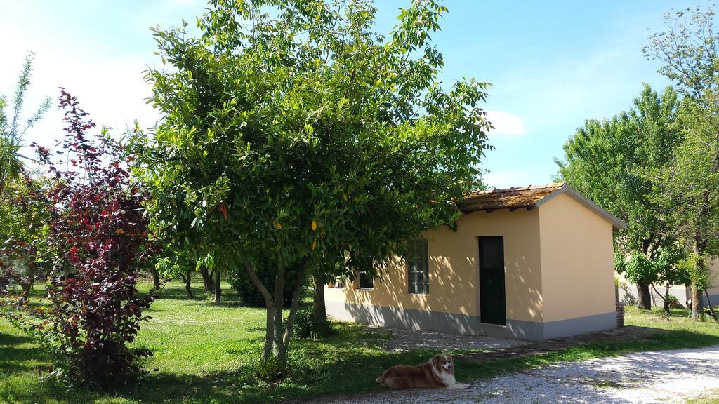 Вилла Agriturismo Podere La Cascata Масса-Мариттима Экстерьер фото